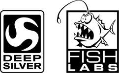 Dish Silver Fish Labs